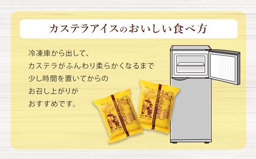 【 全6回定期便 】 長崎カステラアイス （ バニラ ） 計15個 長崎カステラ カステラ かすてら アイス カステラアイス お菓子 菓子 おかし 洋菓子 スイーツ 冷凍