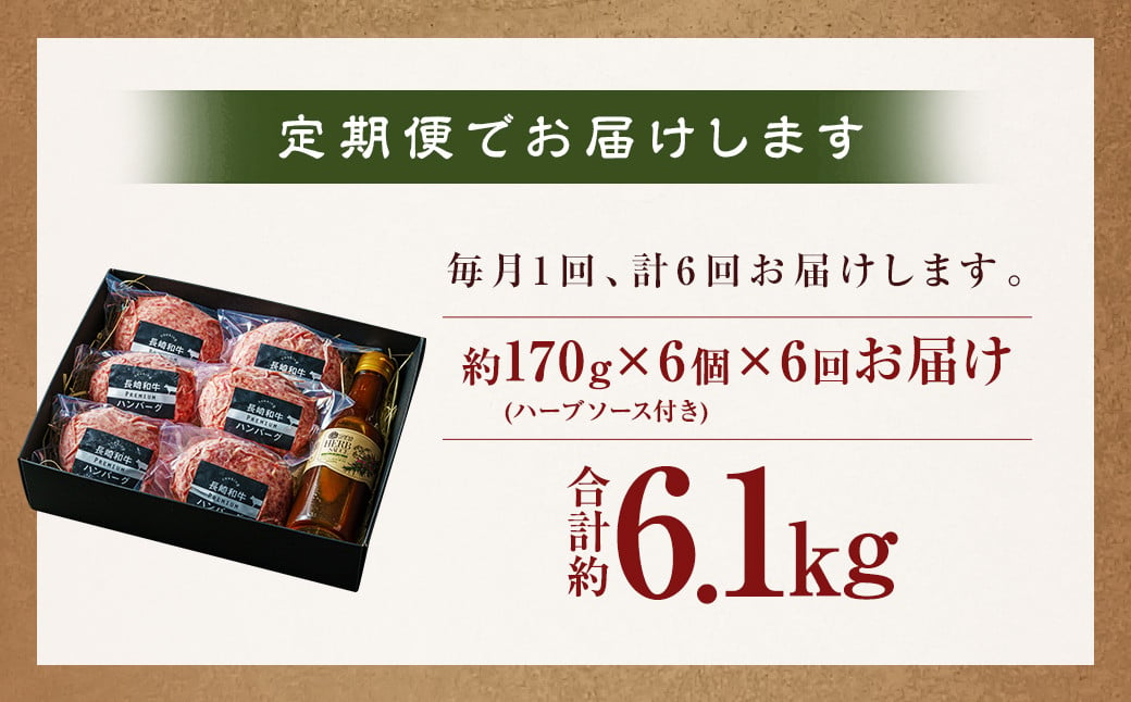 【全6回定期便】【年間1万個売れる！】A4～A5ランク 長崎和牛 ハンバーグ セット 約170g×6個 牛肉 肉 牛 和牛 国産牛 国産 長崎和牛