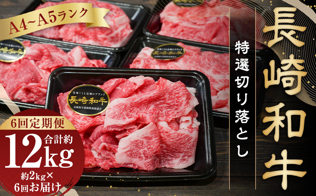 【全6回定期便】【A4〜A5ランク】長崎和牛特選切り落とし 約2kg (200g×10パック) 長崎 牛肉 肉 牛 和牛 国産牛 国産 長崎和牛 すき焼き 焼肉 バーベキュー 小分け 冷凍