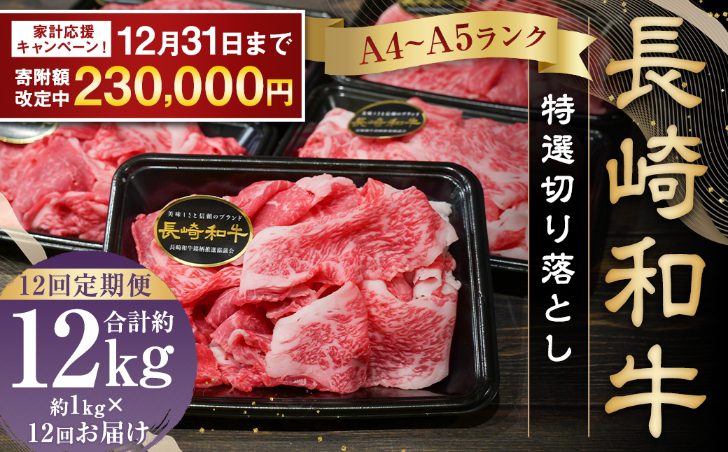 【期間限定！～12月31日まで寄附額改定】全12回定期便 A4〜A5ランク 長崎和牛 特選 切り落とし 約1kg (200g×5パック) お肉 牛肉 肉 牛 和牛 国産牛 国産