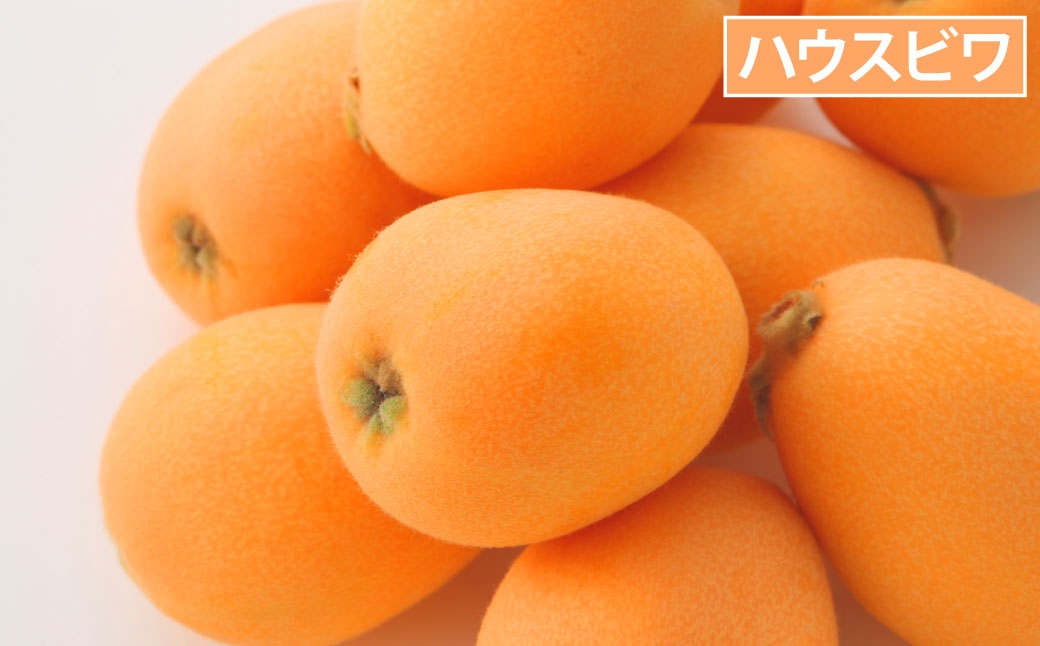 【 年4回定期便 （ 2月 ・ 4月 ・ 6月 ・ 9月配送 ） 】 長崎 旬のフルーツ 定期便 ライト シャインマスカット ・ ハウス桃 ・ びわ ・ 柑橘 果物 くだもの フルーツ 果実 マスカット 桃 ビワ 柑橘類 長崎県産