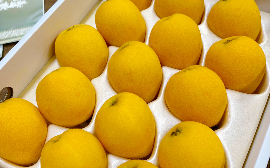 å
è¡äºçŽ ææ·ããªã€ãããã1kg ïŒ æç© ãã ãã® ãã«ãŒã ã㯠ã³ã é·åŽç é·åŽåž ãªã³ã©ã€ã³æ±ºæžéå® ã2026幎5æäžæ¬ïœäžæ¬è¿çºéäºå®ã