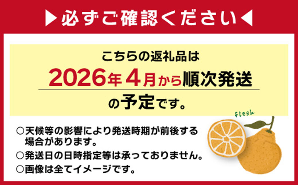 こだわり農家の 秀品 不知火 15玉 （ 大玉 ） 蜜柑 みかん ミカン 果物 フルーツ ギフト 贈り物 プレゼント 柑橘 くだもの 【2026年4月上旬より発送開始予定】