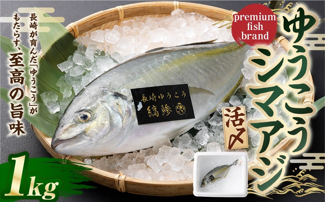 【14営業日以内発送】【premiumfishbrand】 ゆうこうシマアジ （活〆） ×1尾 （約1kg） シマアジ しまあじ 鯵 アジ あじ ゆうこう ブランド魚 魚 海鮮 九州 長崎県 長崎市 冷蔵