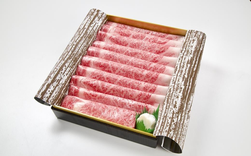 【全6回定期便】長崎和牛 すき焼き肉 約500g ／ 合計3kg 国産 肉 お肉 和牛 長崎県 長崎市