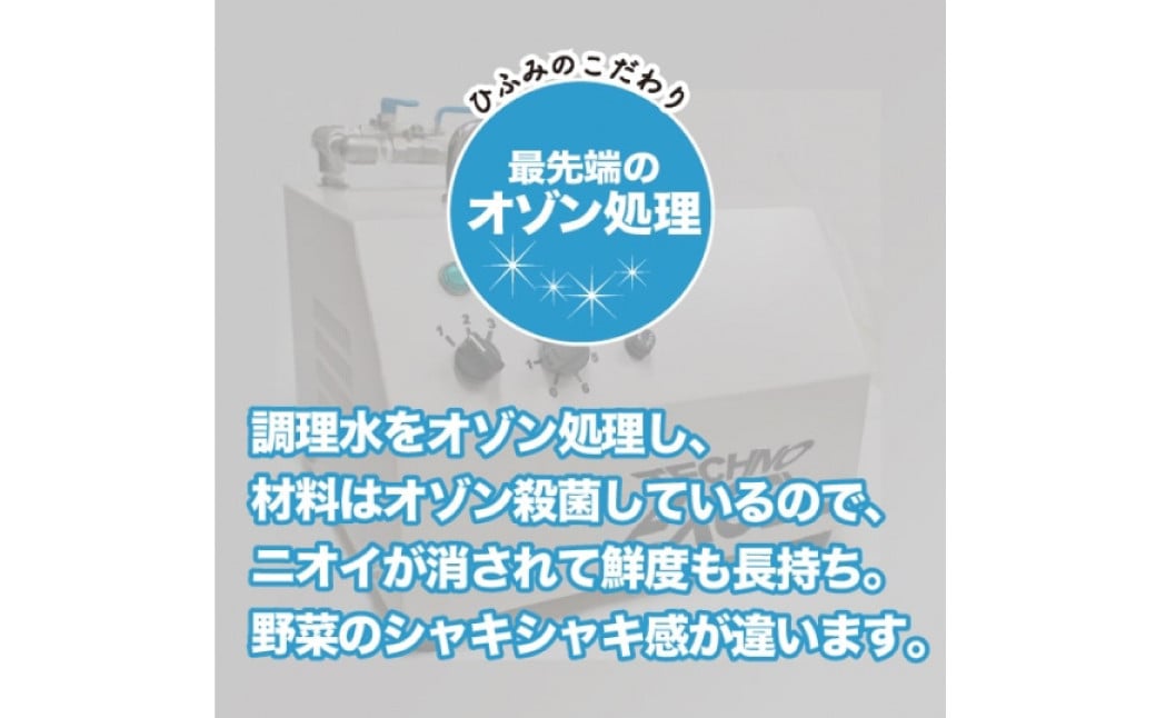 【全3回定期便】《具材付》長崎冷凍皿うどん 総計12食(4食×3回) 揚げ? 簡単調理 具材付き 長崎