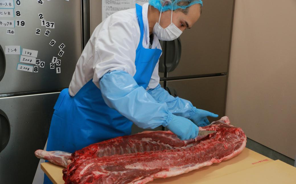 【数量限定】猪肉 切り落とし 200g×3 ／ 猪 イノシシ いのしし ジビエ 細切れ 長崎県 長崎市