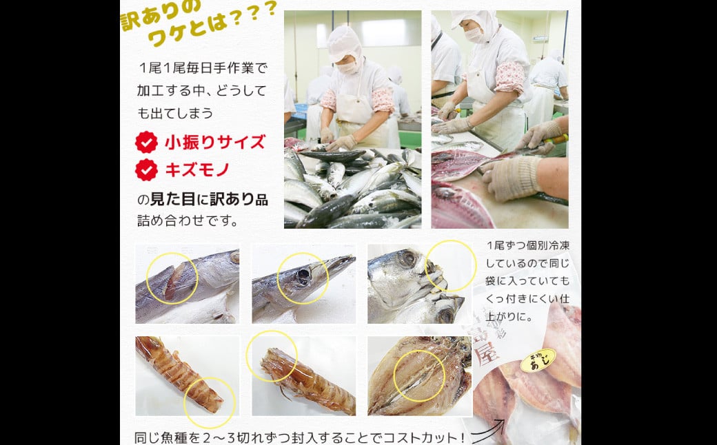 ãå
š3åå®æäŸ¿ãé·åŽå å·¥ èš³ããããŸããå¹²ç© 4çš®é¡ (12æ) ãš ã«ã©ã¹ã è©°ãåãã ïŒ ã»ãã è©°åã ã²ãã® æµ·é®® éä» ä¹Ÿç© é é·åŽç é·åŽåž