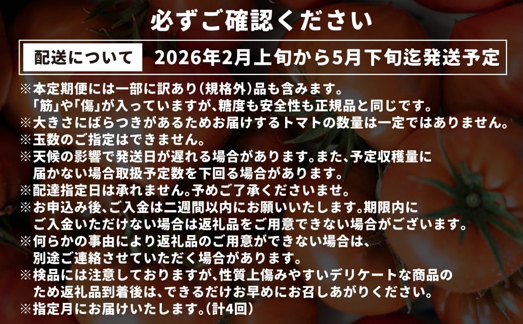 たかしまフルーティトマトの贅沢コース 【年4回定期便 （2月／3月／4月／5月配送）】 ／ 情熱ハート ハートのプリンセス ハートの女王 五月の初恋 合計約7.2kg フルーティートマト フルーツトマト トマト とまと 野菜 やさい