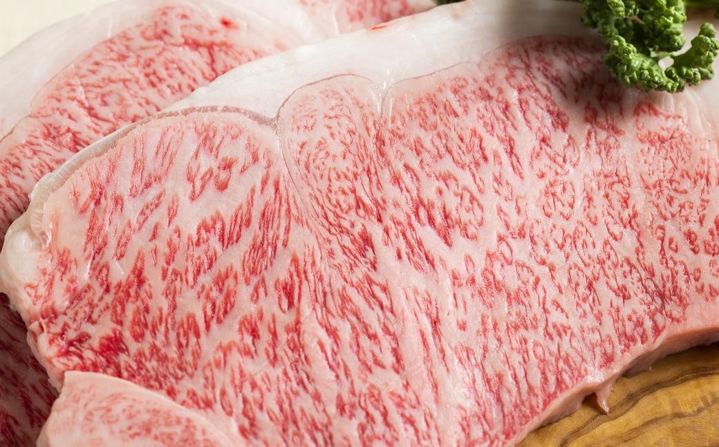 長崎和牛サーロインステーキ2枚セット 合計500g （250g×2枚） ／ 国産 ソース付き ステーキ 肉 お肉 和牛 