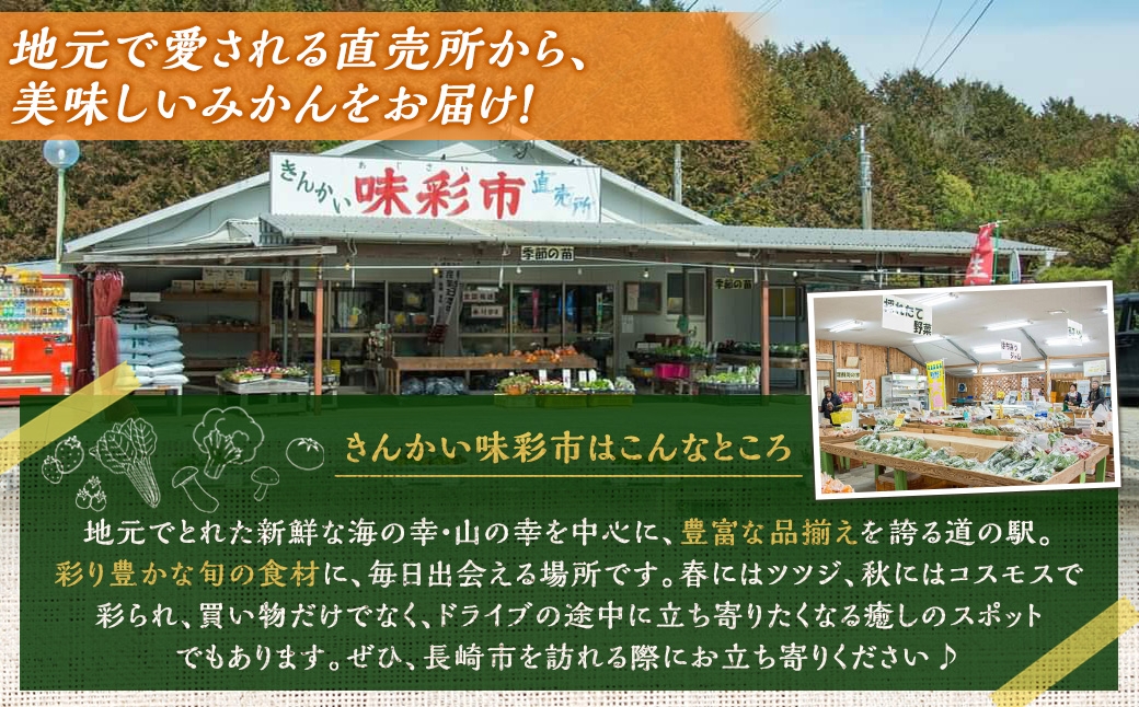 温州みかん （ 早生 ） 約5kg （ S ～ Lサイズ ） みかん ミカン 蜜柑 早生みかん 柑橘 果物 くだもの 果実 フルーツ 長崎県産 【 2026年11月上旬～12月下旬迄発送予定 】