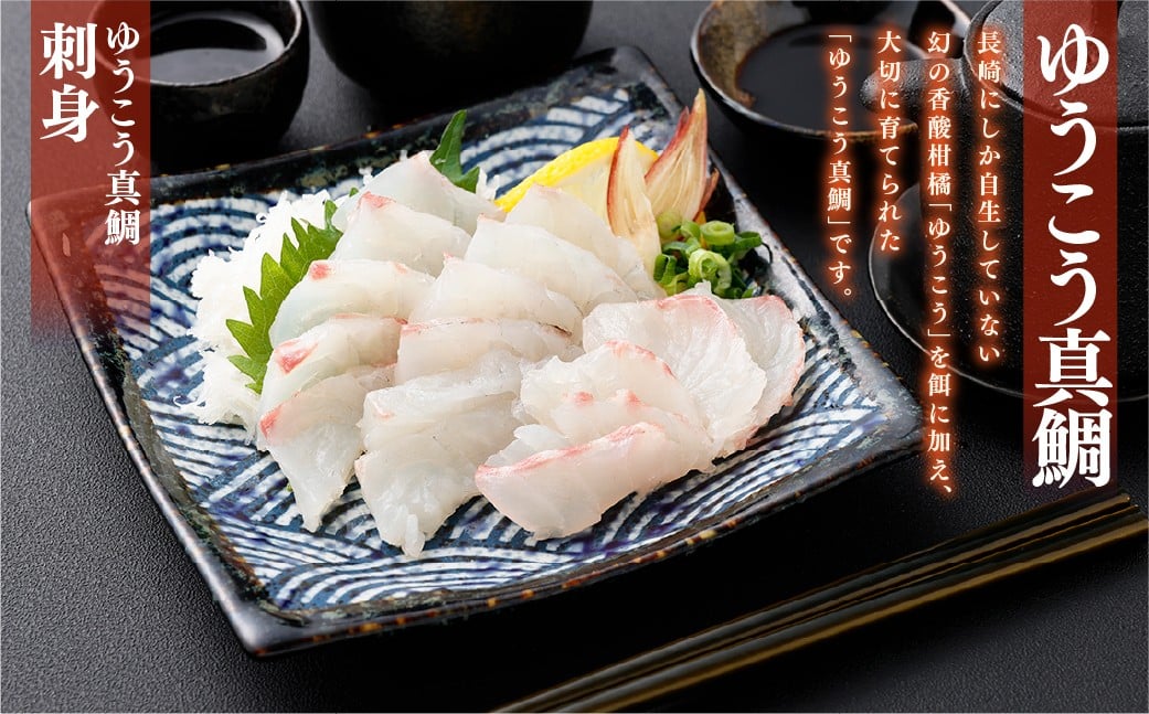 【14営業日以内発送】【premiumfishbrand】 ゆうこう真鯛 （活〆） ×1尾 （約1.5kg） 真鯛 真鯛 マダイ まだい 鯛 タイ たい ゆうこう ブランド魚 魚 海鮮 九州 長崎県 長崎市 冷蔵