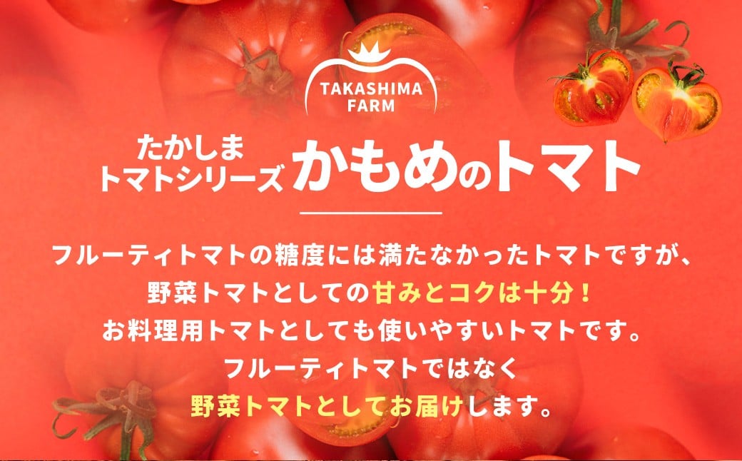 【訳あり】 たかしまトマトシリーズ 【糖度6度以上】 「かもめのトマト」 約3kg箱×1 ／ トマト とまと 野菜 やさい サラダ 料理 【2026年1月下旬～4月下旬発送予定】