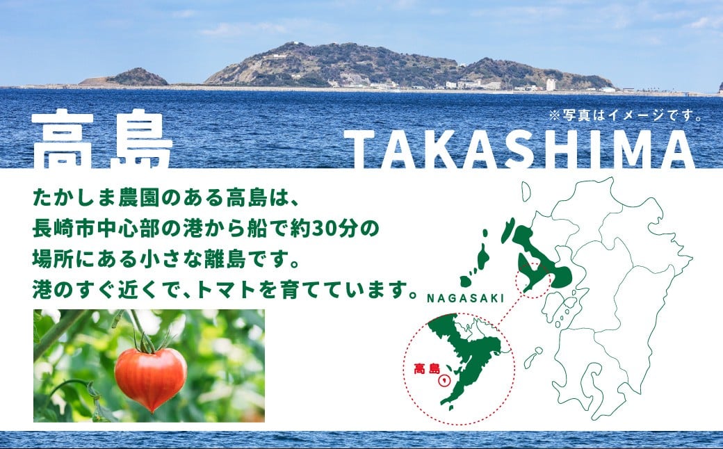 たかしまフルーティトマトの小箱コース 【年4回定期便（2／3月／4月／5月配送）】 ／ 情熱ハート ハートの女王 五月の初恋 合計約4.2kg フルーティートマト フルーツトマト トマト とまと 野菜 やさい
