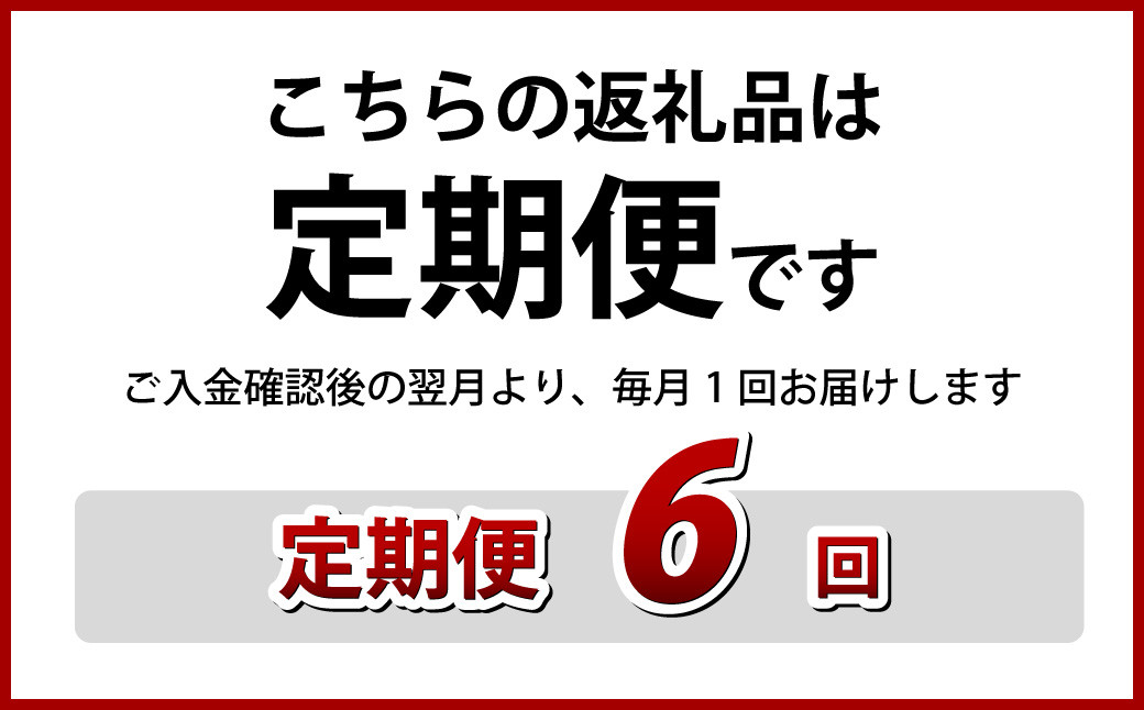 【全6回定期便】《具材付》長崎冷凍皿うどん (4食) 具材付き 簡単調理 麺 麺類 揚麺