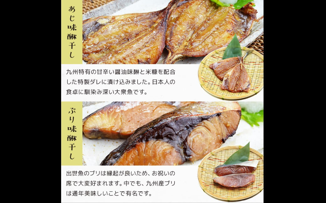 【全6回定期便】【最長2ヵ月前後】長崎 海鮮三昧 ひものセット 干物 魚介類 海鮮