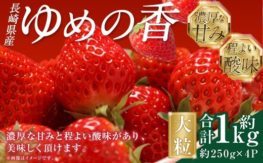 長崎県産いちご ゆめの香 大粒 約1kg（250g×2パック入×2箱）いちご 苺 イチゴ 冷蔵 果物 フルーツ 果実【2025年11月下旬-2026年3月下旬迄発送予定】