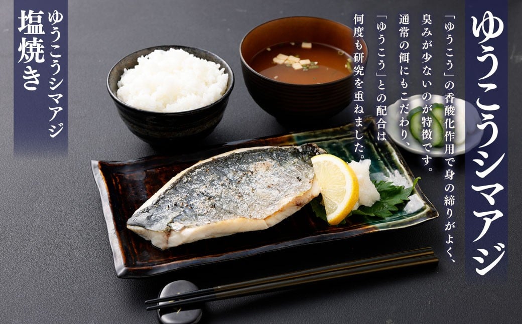 【14営業日以内発送】【premiumfishbrand】 ゆうこうシマアジ （活〆） ×1尾 （約1kg） シマアジ しまあじ 鯵 アジ あじ ゆうこう ブランド魚 魚 海鮮 九州 長崎県 長崎市 冷蔵