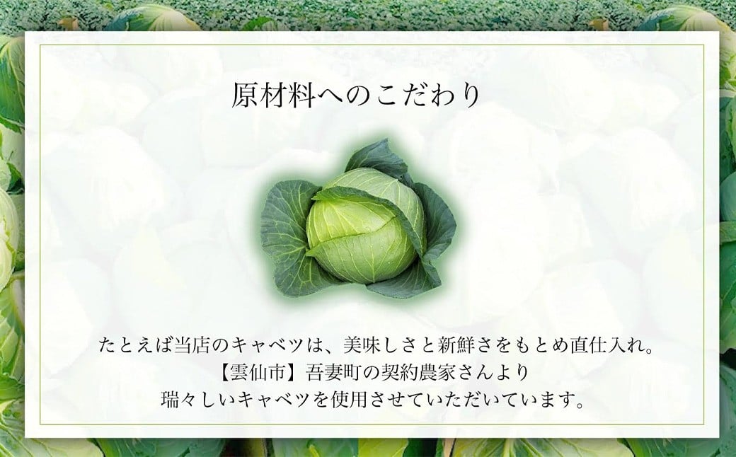 《具材付》長崎冷凍ちゃんぽん (4食) ／ チャンポン 麺 麺類 簡単調理 ちゃんぽん 長崎ちゃんぽん 長崎名物 ご当地 ひふみ 長崎県 長崎市