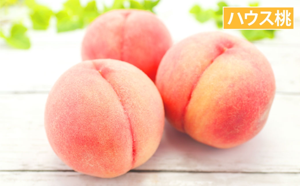 【 年7回定期便 （ 1月 ・ 2月 ・ 3月 ・ 4月 ・ 6月 ・ 8月 ・ 9月配送 ） 】 長崎 旬のフルーツ 定期便 ライト シャインマスカット ・ 巨峰 ・ ハウス桃 ・ びわ ・ 柑橘 果物 くだもの フルーツ 果実 ぶどう マスカット 桃 ビワ 柑橘類 長崎県産