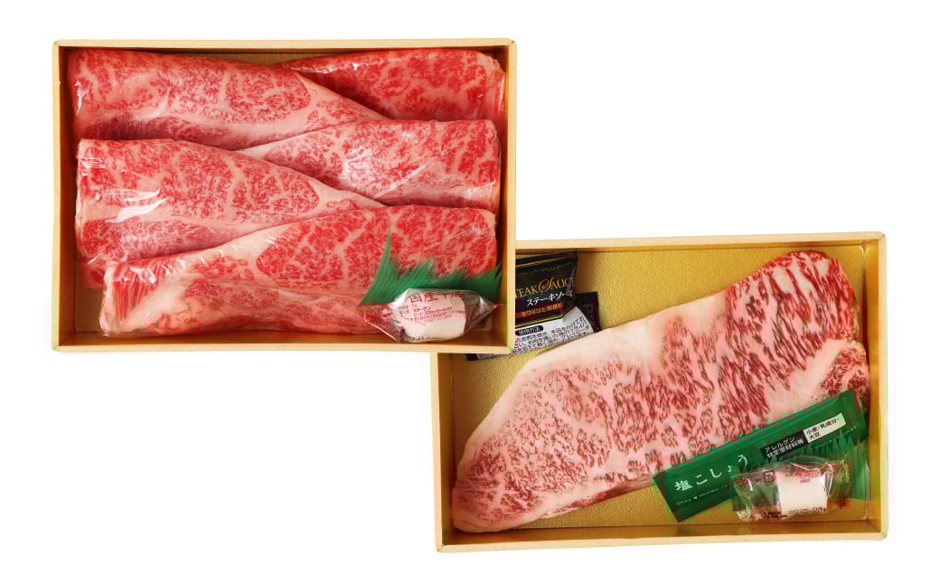 【全12回定期便】【A4ランク以上】長崎和牛 出島ばらいろ 特選 ロース スライス 350g サーロイン ステーキ 約250g 詰合せ ／ 和牛 国産 お肉 肉 牛肉 霜降り ロース サーロイン ステーキソース 塩コショウ付き セット 長崎県 長崎市