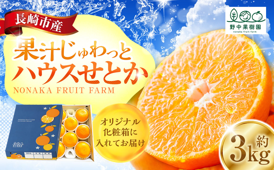 ハウスせとか 3kg 8～15玉 化粧箱セット 【2026年2月下旬-3月下旬迄発送予定】 ／  フルーツ 果物 くだもの ミカン みかん 長崎県 長崎市 野中果樹園