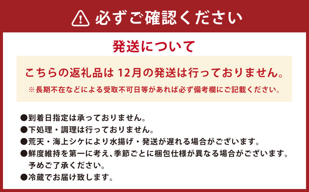 丸ごと1本！長崎近海 活き〆天然寒ヒラス (ヒラマサ) 5kg台 (5.2〜5.8kg) ／ 魚 魚介 鮮魚 海鮮 天然 ヒラマサ ヒラス 刺身 大将農園 長崎県 長崎市