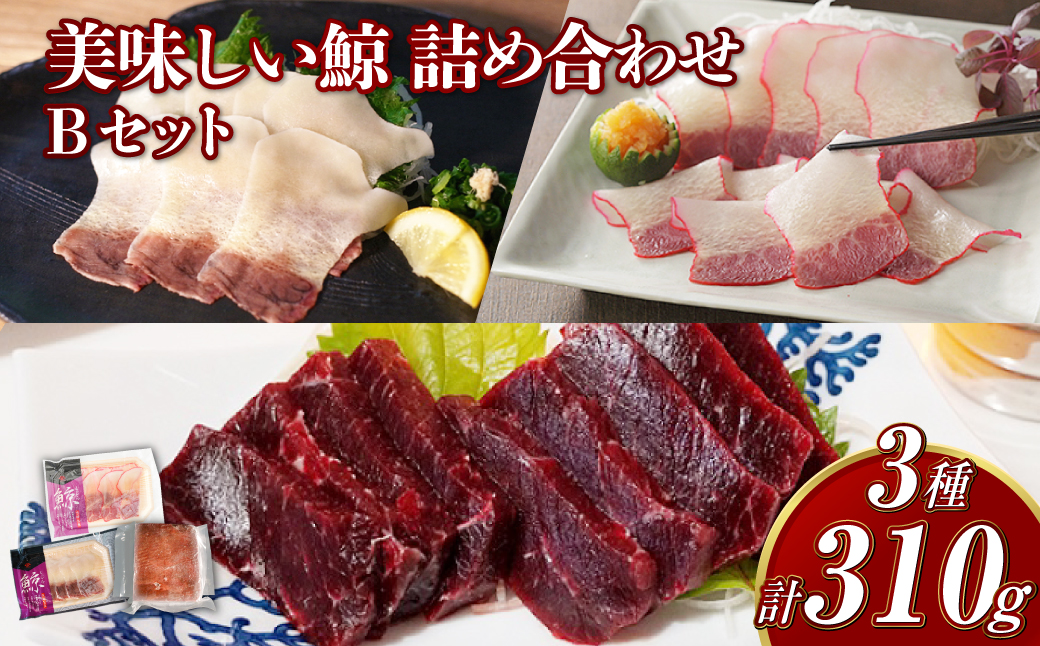 美味しい鯨 3種 詰め合わせ Bセット ( 背肉230g以上 ベーコンスライス40g すえひろスライス40g ) ／ 鯨 くじら クジラ 鯨刺身 鯨肉 鯨文化 くじら文化 ミンク鯨 長崎県 長崎市