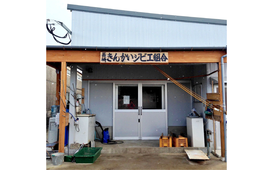 【7営業日以内発送】猪肉 切り落とし 200g×3 ／ 猪 イノシシ いのしし ジビエ 細切れ 長崎県 長崎市