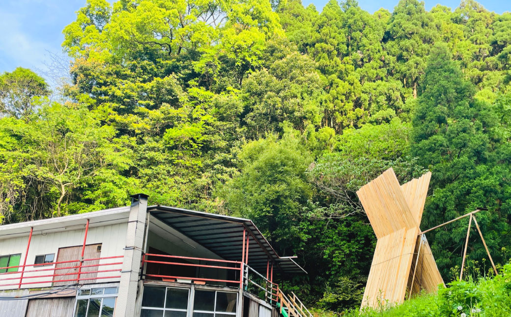 長崎の森で育てた『幻のクエ』昆布〆 刺身用  5～6人前 (1kg～2kg前後) ／ 魚 海鮮 魚介類 高級魚 クエ  刺身 刺し身 頭付き 長崎県 長崎市