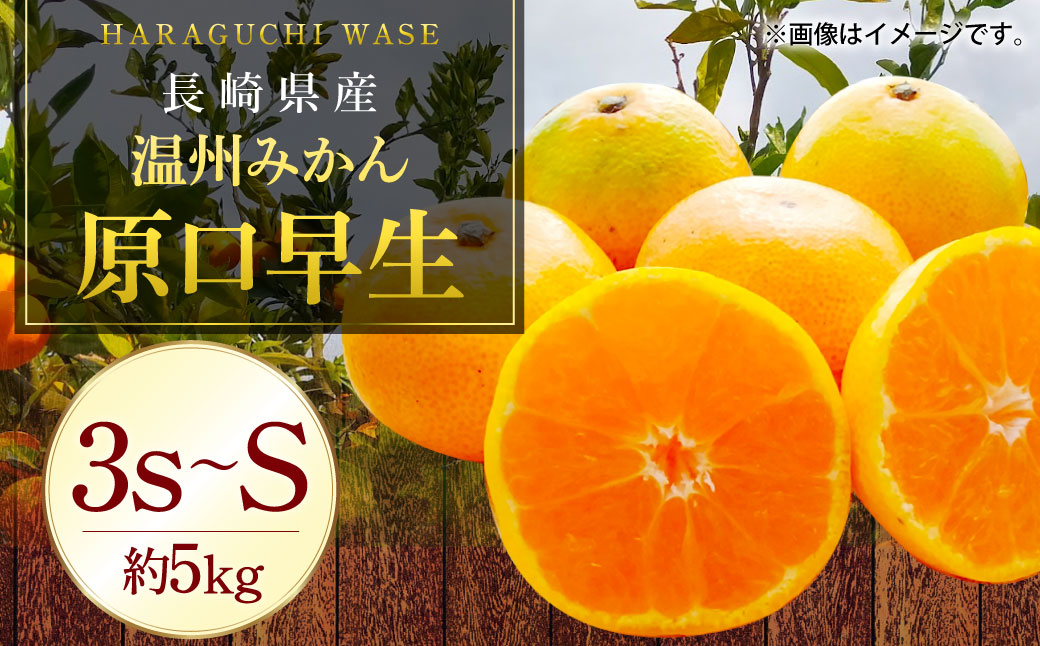 温州みかん「原口早生」3S〜Sサイズ 5kg 小みかん ／ 果物 フルーツ 柑橘 蜜柑 ミカン みかん 温州みかん 原口 早生 国産 大将農園 長崎県 長崎市 【2025年11月下旬〜2026年1月下旬迄発送予定】