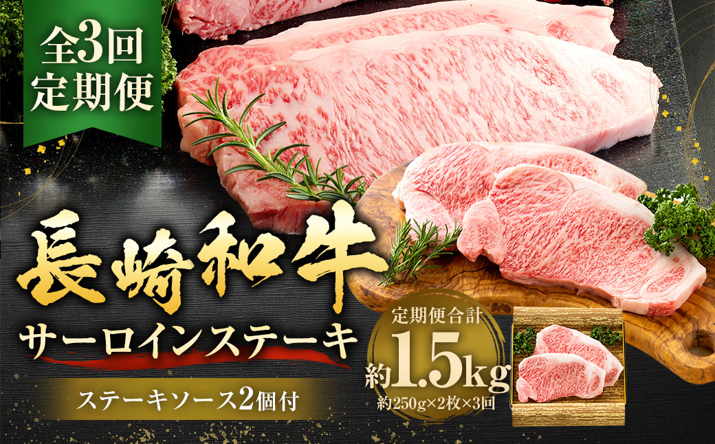 【全3回定期便】長崎和牛 サーロイン ステーキ 250g×2枚 牛肉 肉 牛 和牛 国産