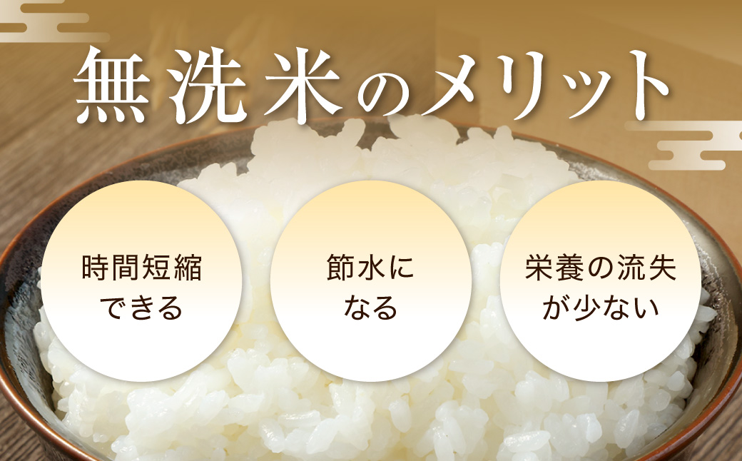 【令和6年産】 新米 無洗米 長崎 こしひかり 計10kg ( 2.5kg×4袋 )  米 お米 こめ コメ