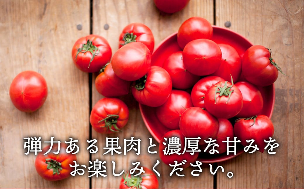 【数量限定 先行予約】たかしまフルーティトマト 糖度10度以上 「ハートの女王」1kg箱 2025年3月頃から4月頃にかけて順次発送