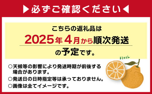 こだわり農家の 秀品 不知火 15玉 （ 大玉 ） 蜜柑 みかん ミカン 果物 フルーツ ギフト 贈り物 プレゼント 柑橘 くだもの 【2025年4月上旬より発送開始予定】