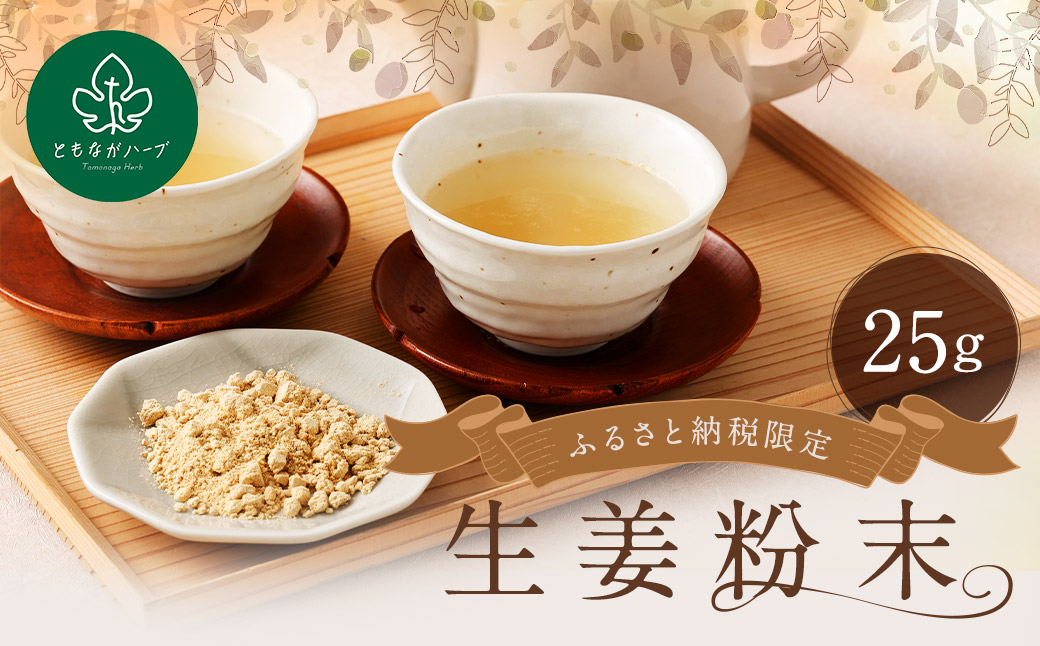 【14営業日以内発送】生姜粉末25gアルミ袋 ／ 調味料 生姜 しょうが ショウガ パウダー 粉 健康 健康食品 長崎県 長崎市