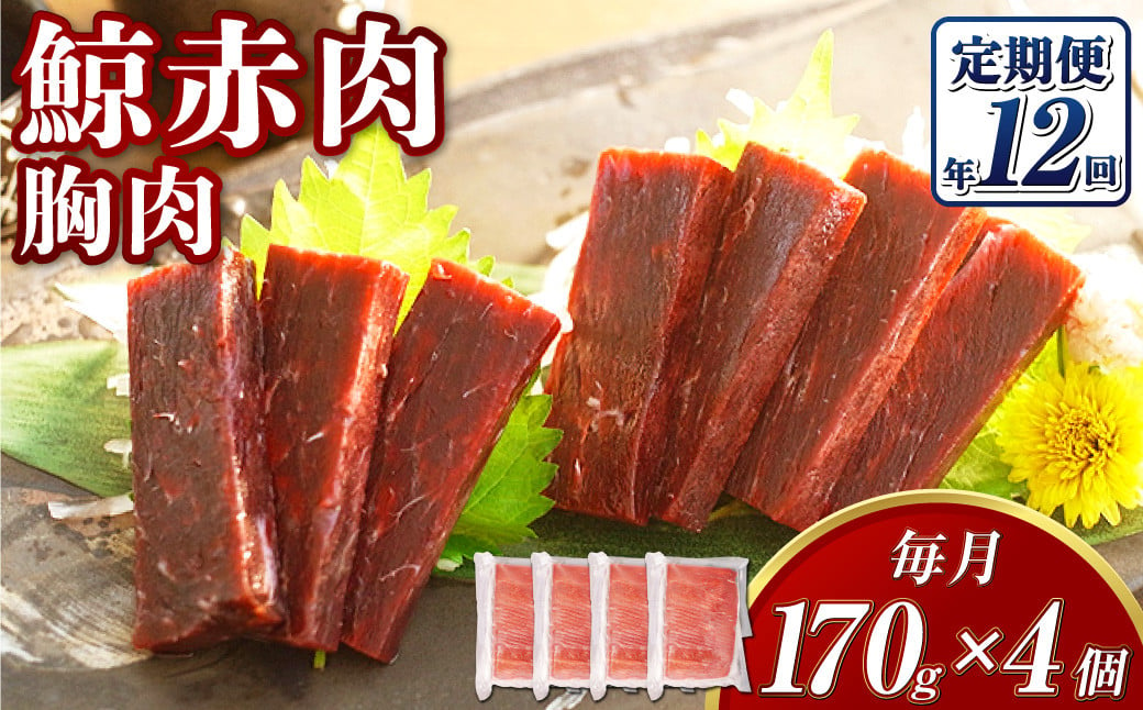 【全12回定期便】 鯨 赤肉 胸肉 170g×4個セット ／ 鯨 くじら クジラ 鯨肉 鯨文化 くじら文化 イワシ鯨 厳選 長崎県 長崎市