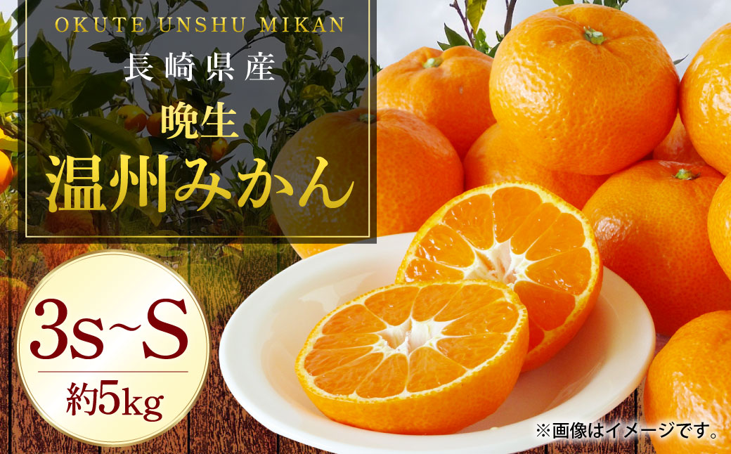 長崎県産 晩生温州みかん 3S～Sサイズ 5kg 小みかん ／ 果物 フルーツ 柑橘 蜜柑 ミカン 温州みかん 晩生 青島 大津 国産 大将農園 長崎県 長崎市 【2026年1月上旬～2月下旬迄発送予定】