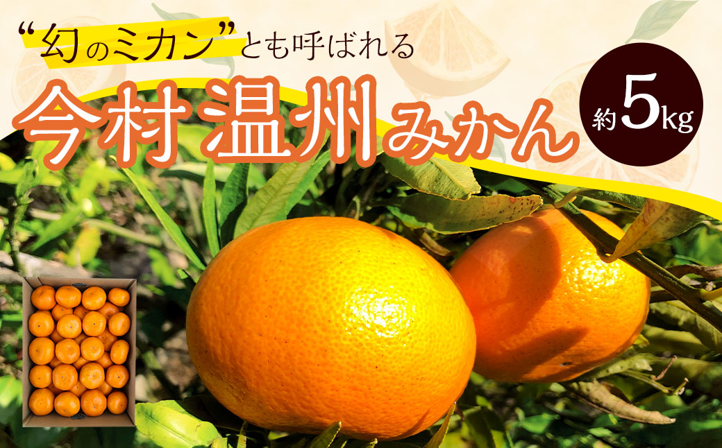 今村温州みかん 計約5kg 長崎市 ／ 松上果樹園 みかん 温州みかん フルーツ 果物 くだもの ミカン 蜜柑 長崎  【2026年2月上旬-3月下旬発送予定】