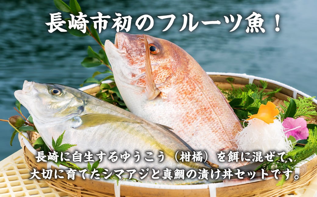 長﨑・戸石産 ゆうこうシマアジと真鯛の漬け丼セット 出汁付き タイ まだい 鯵 あじ 魚 フルーツ魚