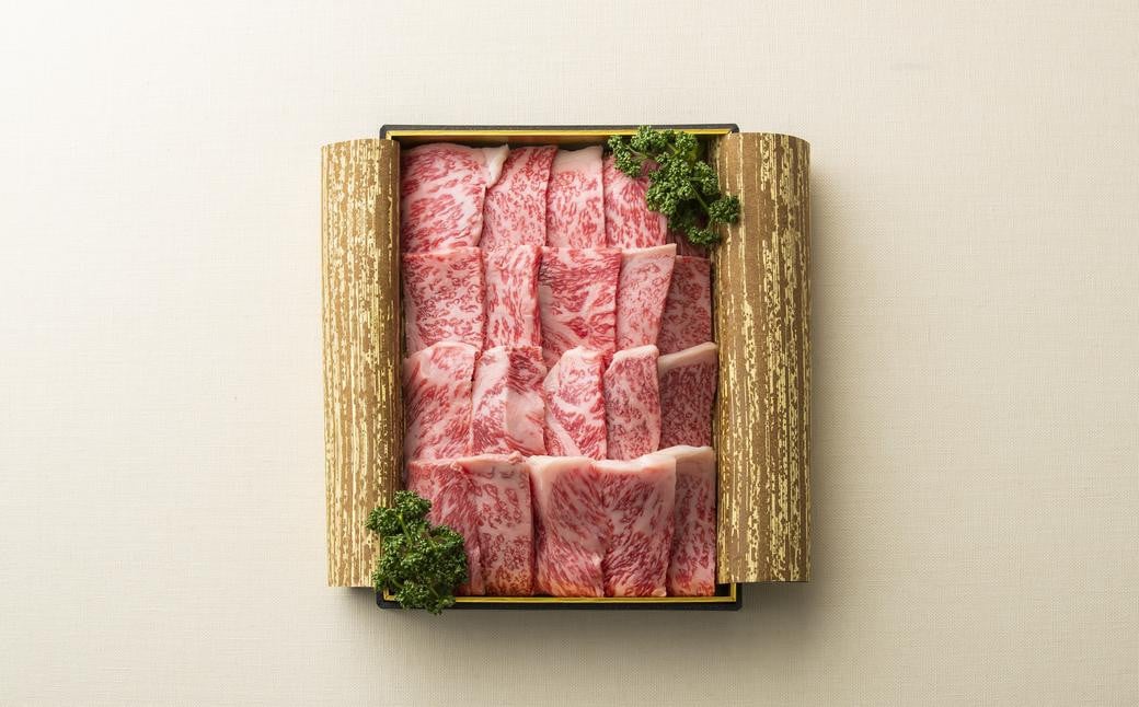 【全3回定期便】長崎和牛 焼肉 ロース 約500g ／ 合計1.5kg 国産 肉 お肉 和牛 長崎県 長崎市