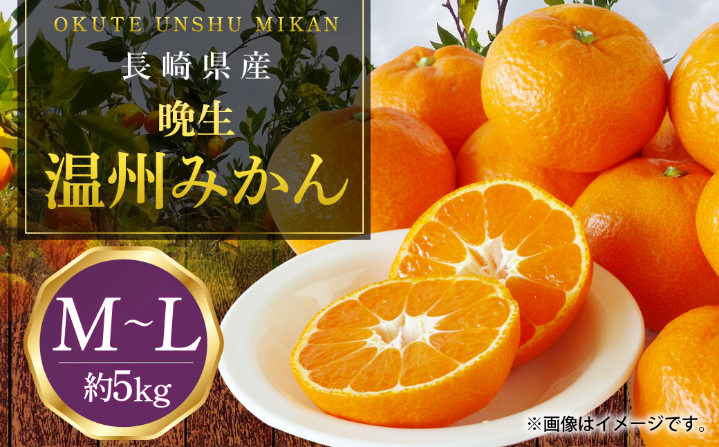 長崎県産 晩生温州みかん M～Lサイズ 5kg ／ 果物 フルーツ 柑橘 蜜柑 ミカン みかん 温州みかん 晩生 Mサイズ Lサイズ 国産 大将農園 長崎県 長崎市 【2026年1月上旬～2月下旬迄発送予定】