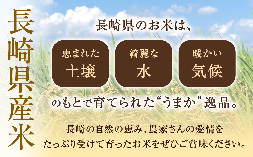 【令和6年産】 新米  無洗米 長崎 こしひかり 計5kg ( 2.5kg×2袋 ) 米 お米 こめ コメ