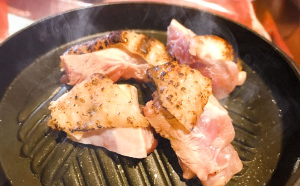 【7営業日以内発送】長崎県産 対馬地鶏 焼肉 セット (自家製タレ付)  計約500g ／ 鶏肉 地鶏 モモ肉 ムネ肉 国産 長崎