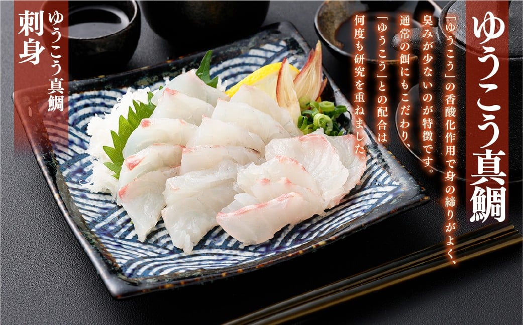 【14営業日以内発送】【premiumfishbrand】 ゆうこうシマアジ （活〆） ×1尾 （約1kg） 、 ゆうこう真鯛 （活〆） ×1尾 （約1.5kg） ／ シマアジ しまあじ 鯵 アジ あじ 真鯛 真鯛 マダイ まだい 鯛 タイ たい ゆうこう ブランド魚 魚 海鮮 九州 長崎県 長崎市 冷蔵