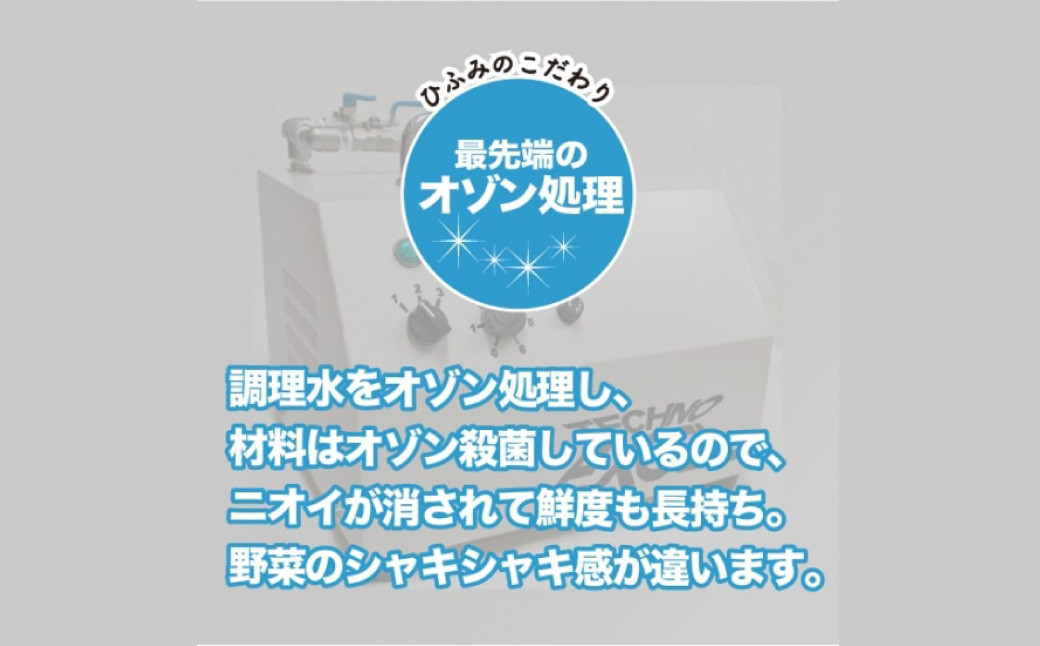 《具材付》長崎冷凍ちゃんぽん (4食) チャンポン 麺 麺類 簡単調理