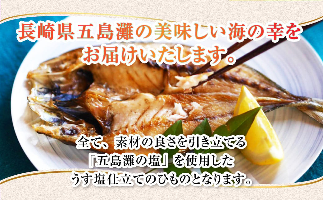 【全6回定期便】長崎五島灘一汐干し 合計12枚 干物 ひもの 海鮮 魚介 海の幸