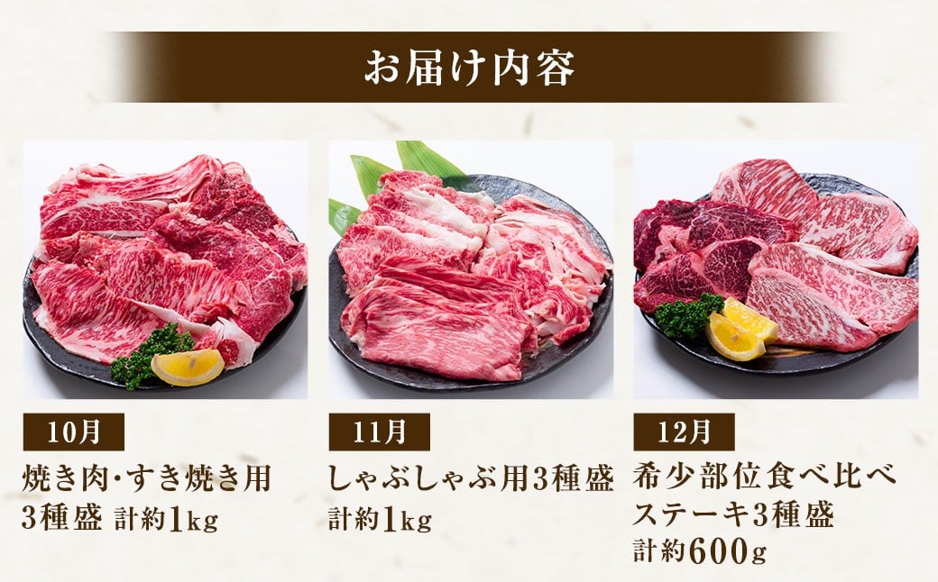 ã12åå®æäŸ¿ã é·åŽåç ãã¬ãã¢ã ã³ãŒã¹ ïŒ 12å 黿¯åçš® 黿¯åç åç åœç£ç çè ãè è ééã ã»ãã ã³ãŒã¹ å®æäŸ¿ ä¹å· é·åŽç é·åŽåž å·å