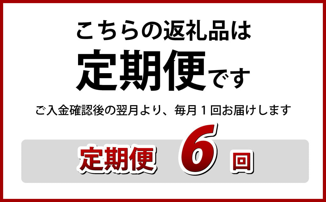 【全6回定期便】≪具材付≫長崎冷凍ちゃんぽん (4食) 麺 麺類 簡単調理