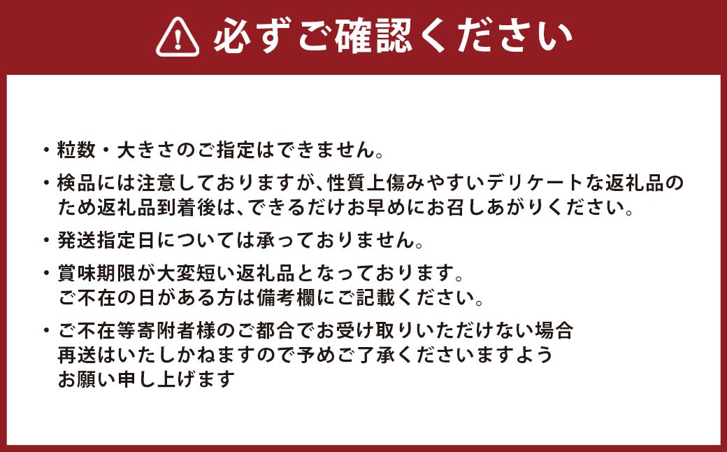長崎市産びわ500g L玉サイズ（12個入） 贈答用箱入り 【2026年4月下旬～5月下旬発送予定】 びわ ビワ 果物 くだもの フルーツ 国産 国産フルーツ 常温 長崎県 長崎市